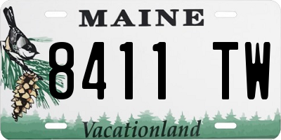 ME license plate 8411TW