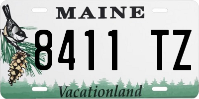 ME license plate 8411TZ