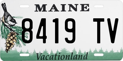 ME license plate 8419TV