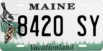 ME license plate 8420SY
