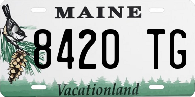 ME license plate 8420TG