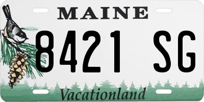ME license plate 8421SG