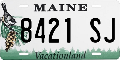 ME license plate 8421SJ