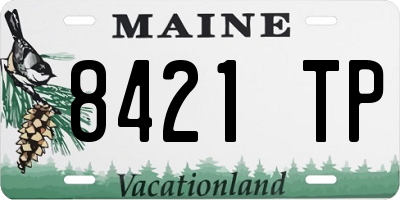 ME license plate 8421TP