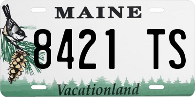 ME license plate 8421TS