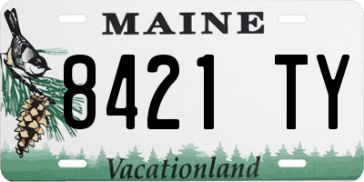 ME license plate 8421TY