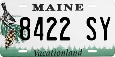 ME license plate 8422SY