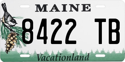 ME license plate 8422TB