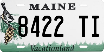 ME license plate 8422TI