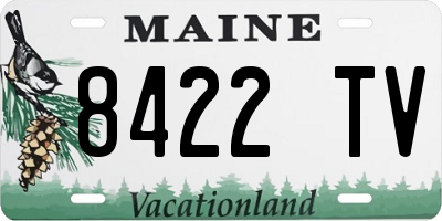 ME license plate 8422TV