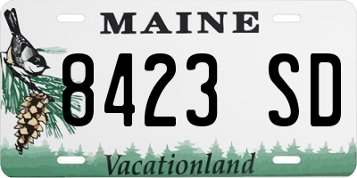 ME license plate 8423SD