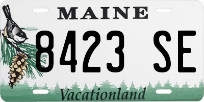 ME license plate 8423SE