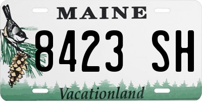 ME license plate 8423SH