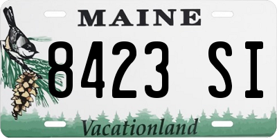 ME license plate 8423SI