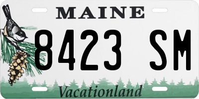 ME license plate 8423SM