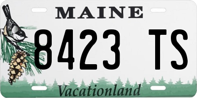 ME license plate 8423TS