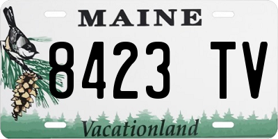 ME license plate 8423TV
