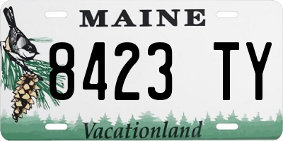 ME license plate 8423TY