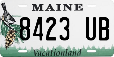 ME license plate 8423UB