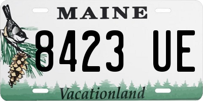 ME license plate 8423UE