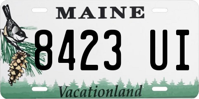 ME license plate 8423UI