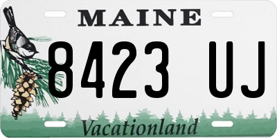 ME license plate 8423UJ