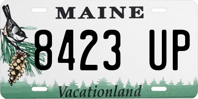 ME license plate 8423UP