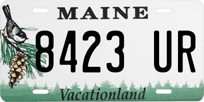 ME license plate 8423UR