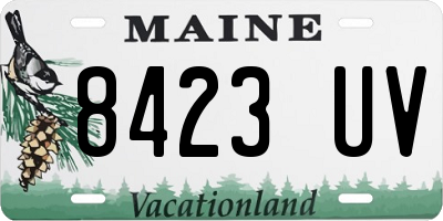 ME license plate 8423UV