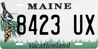 ME license plate 8423UX