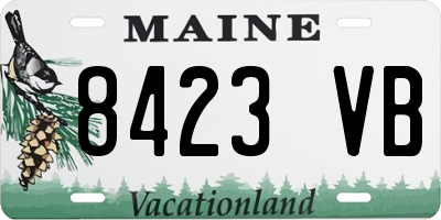 ME license plate 8423VB
