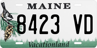 ME license plate 8423VD