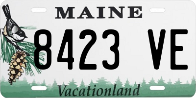 ME license plate 8423VE