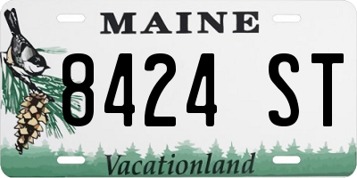ME license plate 8424ST