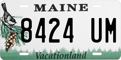 ME license plate 8424UM