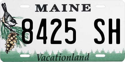 ME license plate 8425SH