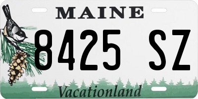 ME license plate 8425SZ