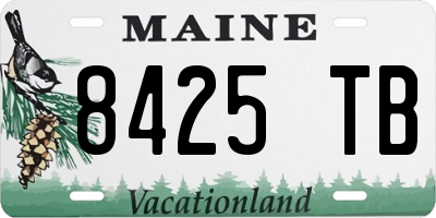 ME license plate 8425TB