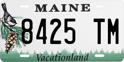 ME license plate 8425TM