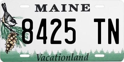 ME license plate 8425TN