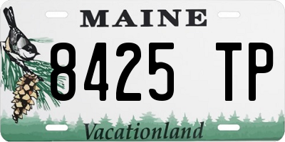 ME license plate 8425TP