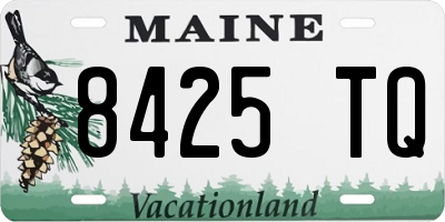 ME license plate 8425TQ