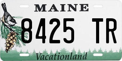 ME license plate 8425TR