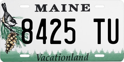 ME license plate 8425TU