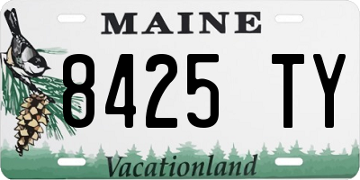 ME license plate 8425TY