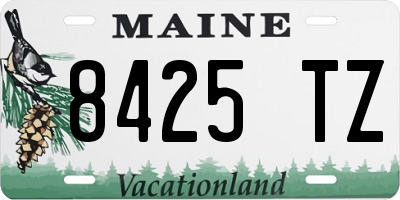 ME license plate 8425TZ
