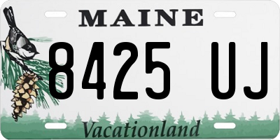 ME license plate 8425UJ
