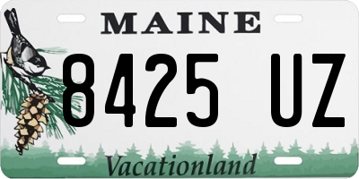 ME license plate 8425UZ