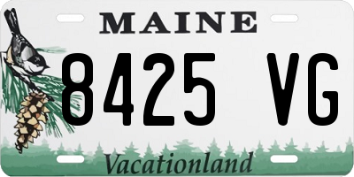 ME license plate 8425VG