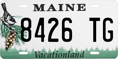 ME license plate 8426TG